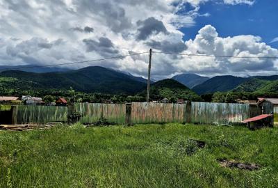 Casă individuală cu 3 camere cu Teren 4542 Mp în Sâmbăta de Sus - 6