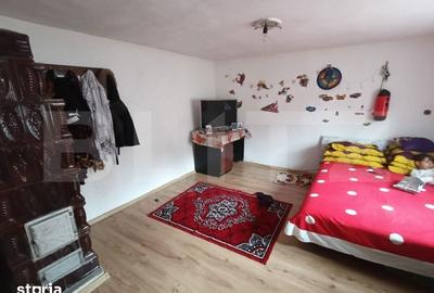 Casă cu 5 camere cu Teren 2482 Mp în Pianu - 4
