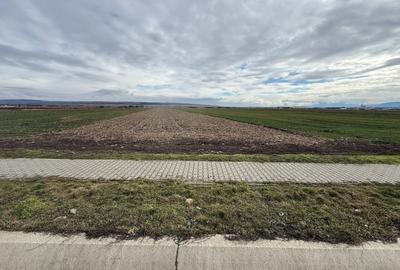 Teren Construcții intravilan de 9600 mp, în Șura Mică - 2