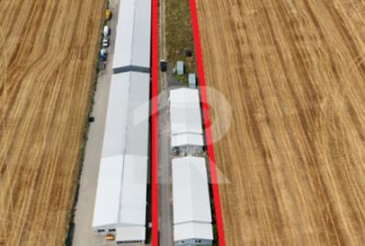 CIOLPANI Lot 5.000 MP - 2