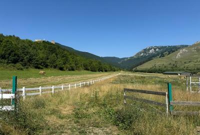 Teren pentru sala de evenimente, 9000mp, fundatie turnata, Rimetea - 6