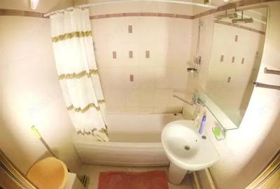 Inchiriere garsoniera in zona Baba Novac - 3