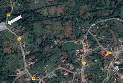 Spațiu comercial, în Nucșoara - 2