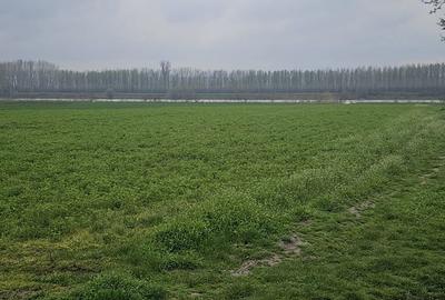 Spațiu comercial, în Dichiseni - 1