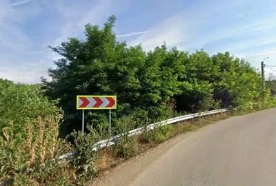 Sat Progresu, com Sohatu, Călărași - 5