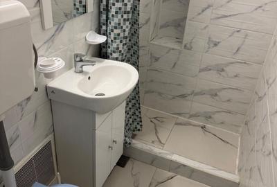 Apartament cu 2 camere semidecomandat în Domenii - 8
