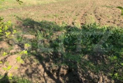 Casă cu 4 camere cu Teren 4000 Mp în Central - 1