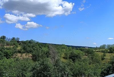Teren de 2500 mp, în Dealu Cucului - 6