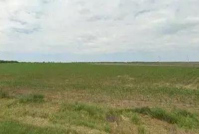 Teren extravilan Pogoanele, ID: R2586845 - 4