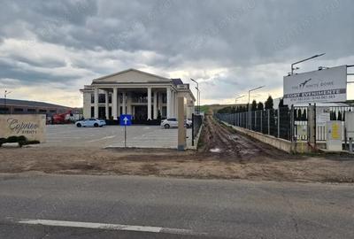 Teren de 10000 mp, în Vest - 11