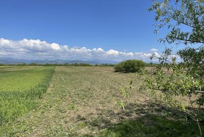 Teren la 13 KM de Baia Mare - 6