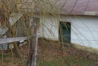 Casă în Dumitrești - 4