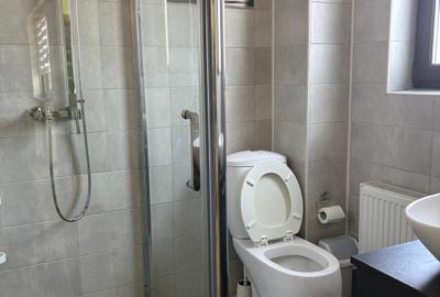 Popesti Centru - Vila individuala - 25