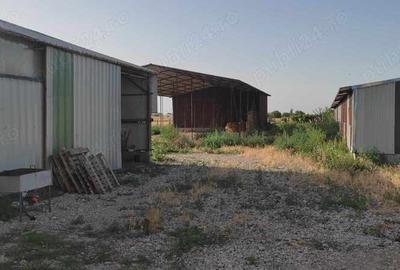 Spațiu comercial, de 1,300 mp, în Scânteia - 4