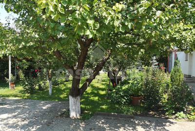 Garsonieră, mobilată în Țiglina 3 - 5