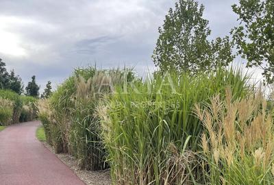 Vila - Dumbrava Vlasiei - pădure Vila - Dumbrava Vlasiei - pădure - 11