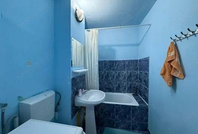 Apartament cu o camere, 32 mp utili si balcon de 6 mp, zona Lipovei - 2