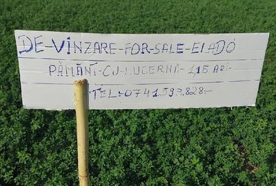 Teren de 1150 mp, în Central