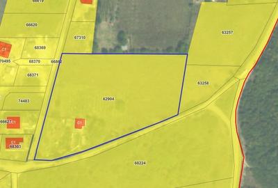 Teren Construcții intravilan de 6780 mp, în Ciurea - 2