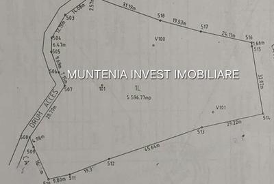 Teren de 5596 mp, în Bradu