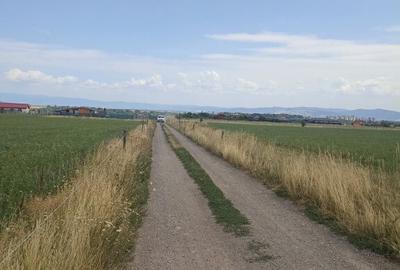 De vanzare terenuri extravilane in Sfantu Gheorghe De vanzare terenuri extravilane in Sfantu Gheorghe - 7