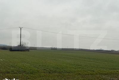 Teren de 10000 mp, în Comișani - 1