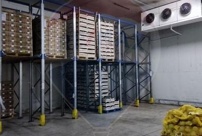 Spațiu industrial, de 4,600 mp, în Afumați - 10