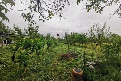 Casă de vânzare în Oșorhei - 2