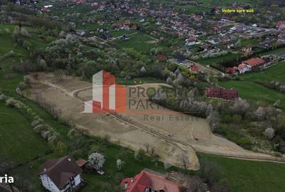 Spațiu comercial, în Bran - 4