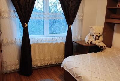 Apartament cu 3 camere decomandat în Central - 7