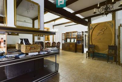 Casă individuală cu 6 camere cu Canalizare în Miniș - 10