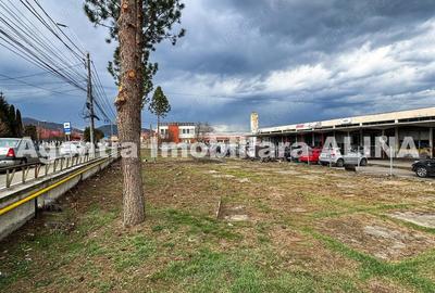 Teren de 1390 mp, în 22 Decembrie - 5