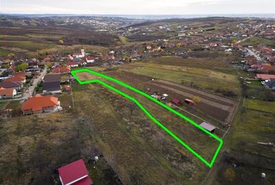 RECO . Teren intravilan Saldabagiu de munte . - 7