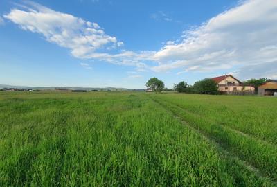 Teren Construcții intravilan de 500 mp, în Bod - 3