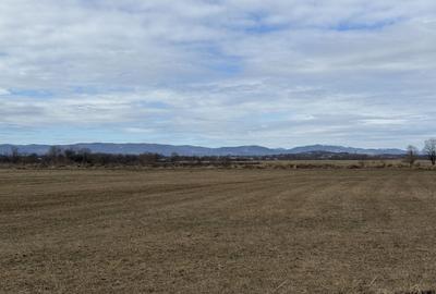 Teren agricol extravilan de 3900 mp, în Central - 2