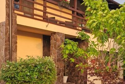 Casă cu 5 camere cu Teren 4000 Mp în Pantelimon - 6