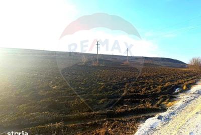 Teren de 4956 mp, în Calea Bârladului - 9