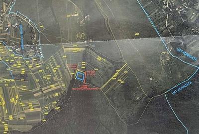 Teren de 3500 mp, în Central - 6