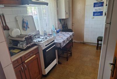 Palazu Mare-Elvila casa 5 camere,anexe,632 mp teren - 7