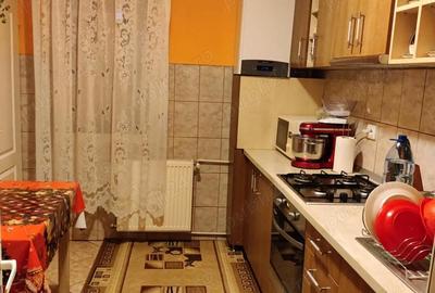 Apartament cu 3 camere decomandat în Criș - 18