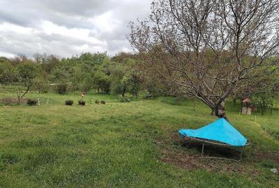 Casă cu 3 camere cu Teren 3400 Mp în Viștea - 1