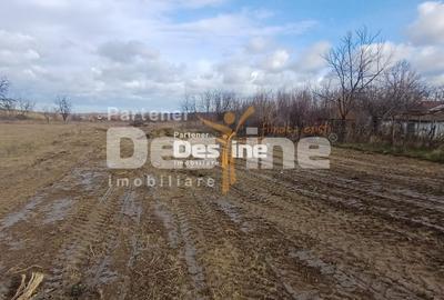 Teren Construcții intravilan de 1925 mp, în Mogoșești - 1