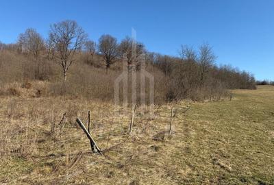 Teren agricol extravilan de 38000.0390625 mp, în Nord - 17