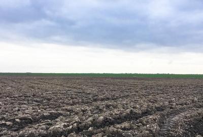 Teren Extravilan Costesti Arges - 1