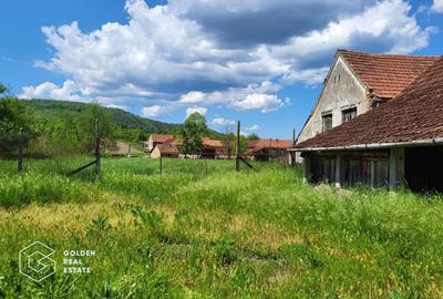 Casă individuală cu 4 camere cu Teren 5000 Mp în Lalașinț - 22