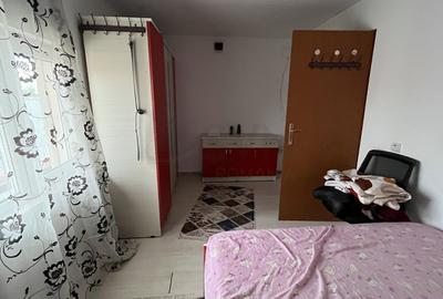 Casă individuală cu 7 camere cu Teren 861 Mp în Poroinica - 9