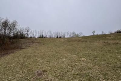 Spațiu comercial, în Central - 1