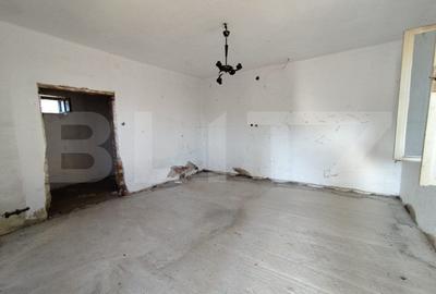 Casa individuala, 2 camere, 2619 mp teren, zona Paclisa - 3
