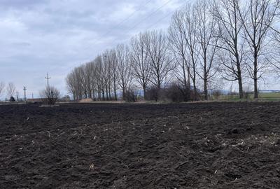 Teren agricol extravilan de 50000 mp, în Hălchiu - 8