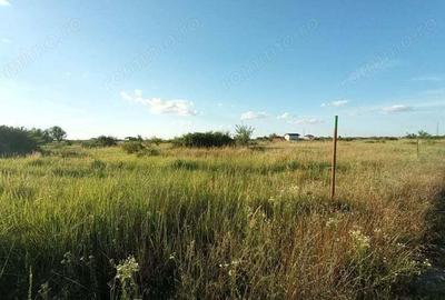 VANDUT Teren intravilan pentru casa Mo?ni?a Noua spre Urseni - 3